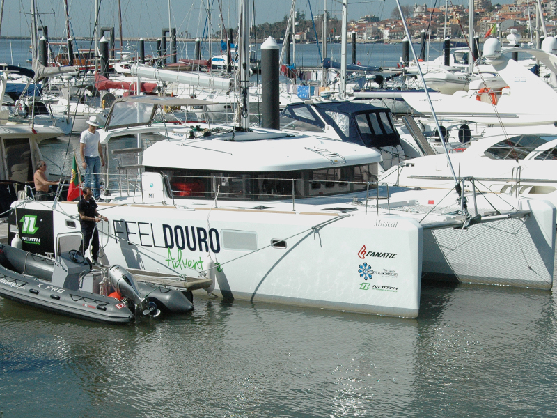 Immagine Lagoon 39 motor