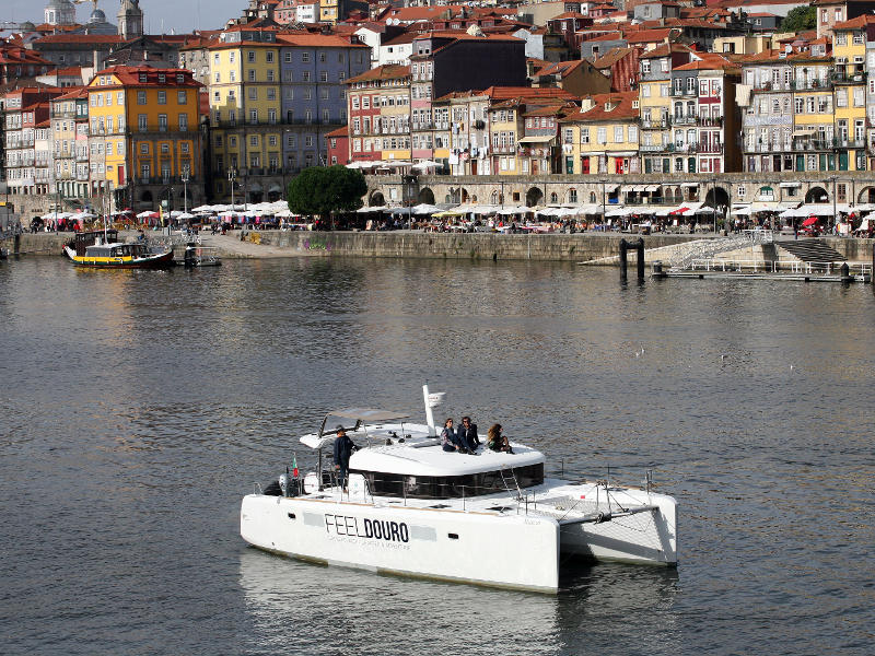 Immagine Lagoon 39 motor