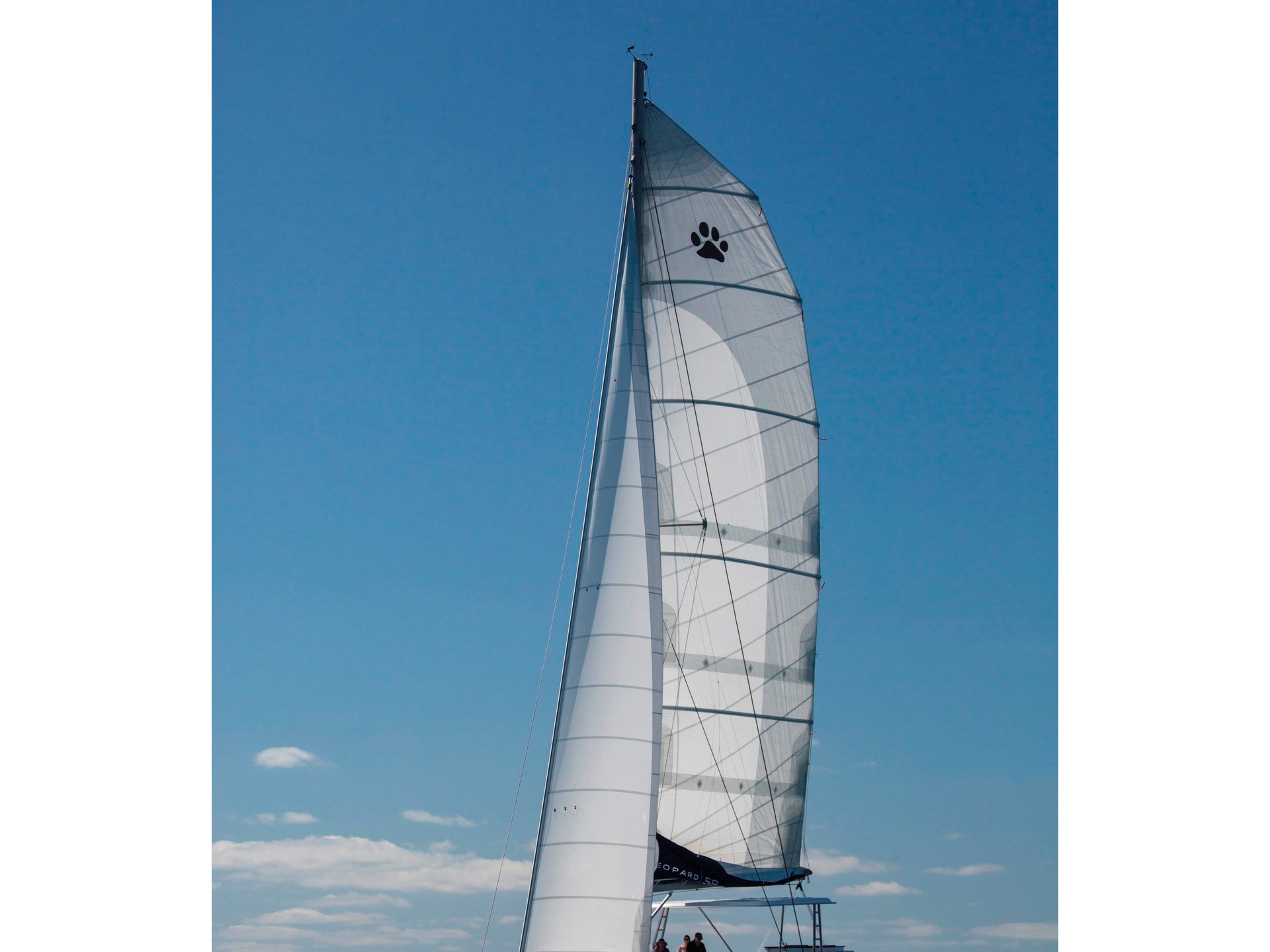 Immagine Leopard 58