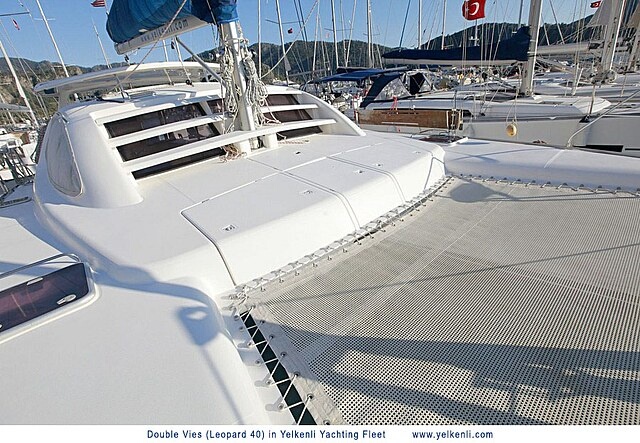 Immagine Leopard 40