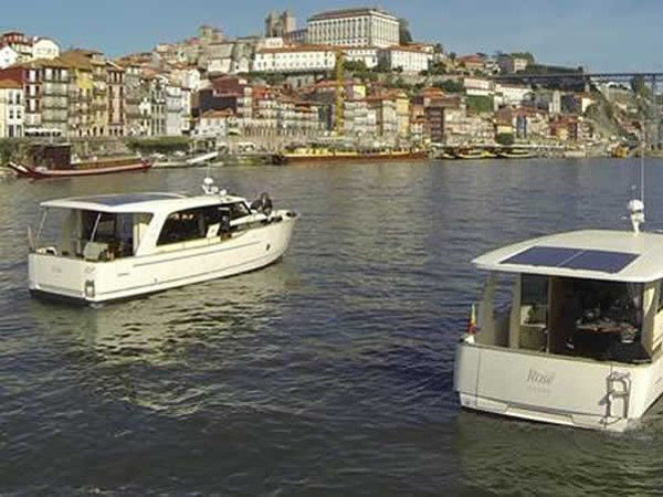 Immagine Greenline 33