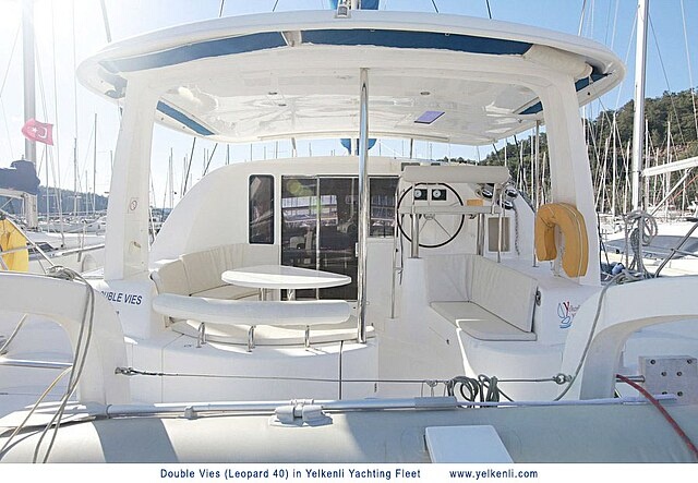 Immagine Leopard 40