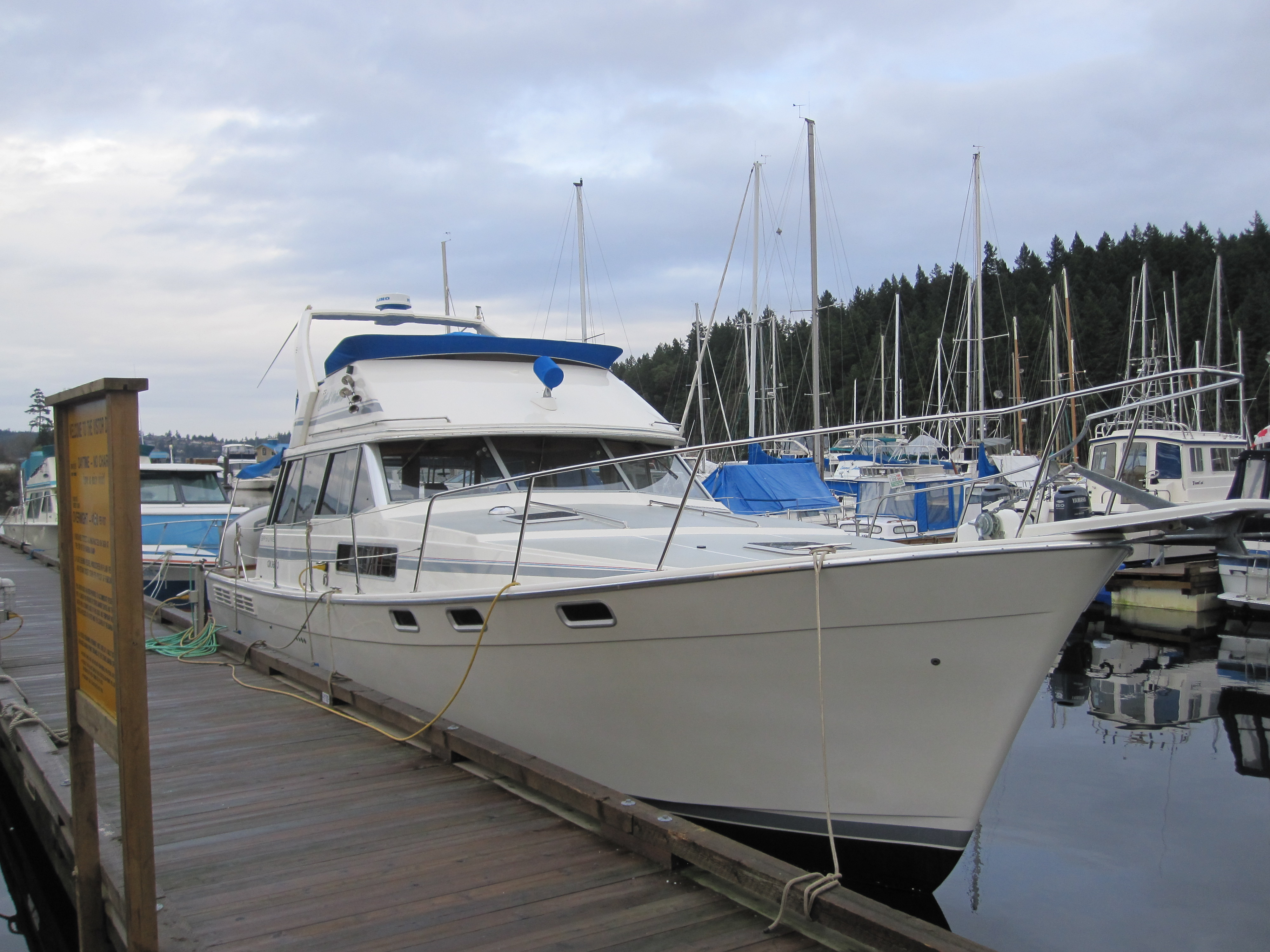 Immagine Bayliner 3888