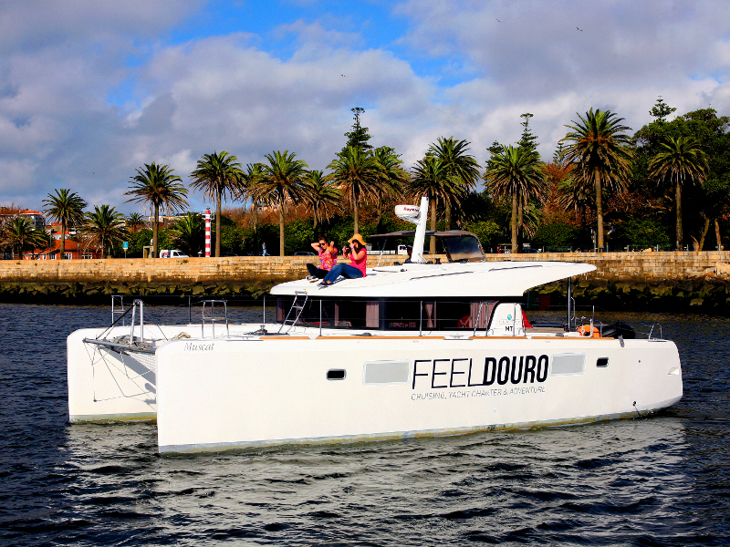Immagine Lagoon 39 motor