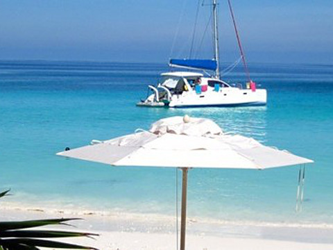 Immagine Leopard 40