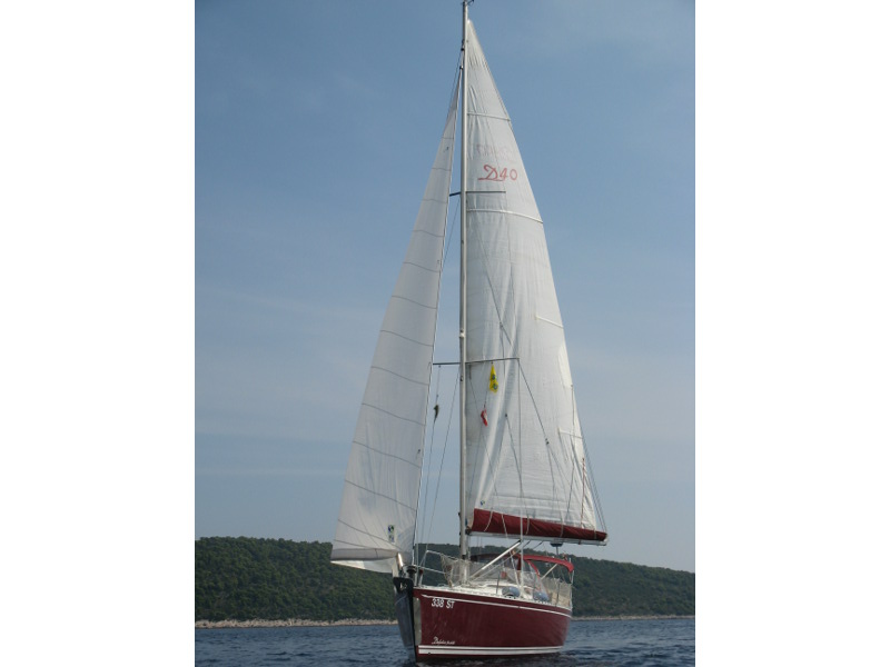 Immagine Delphia 40