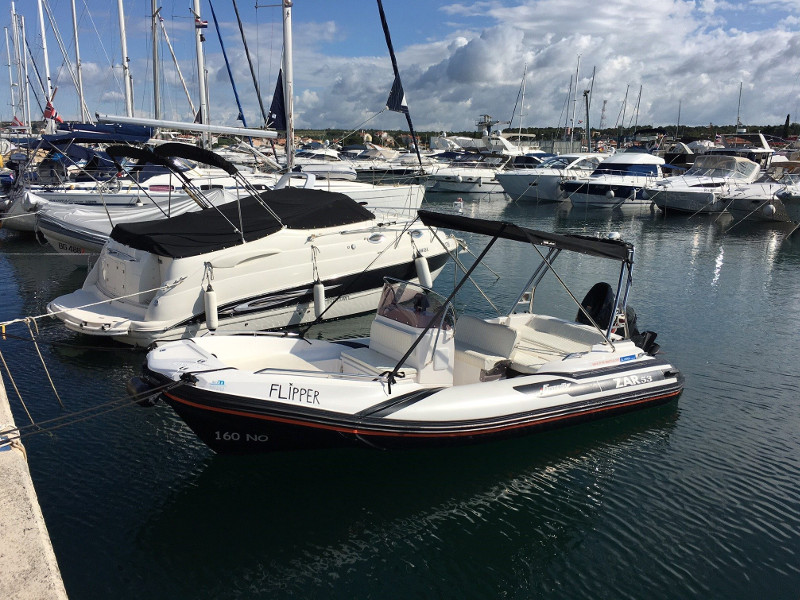 Immagine Zar 53 - Flipper 
