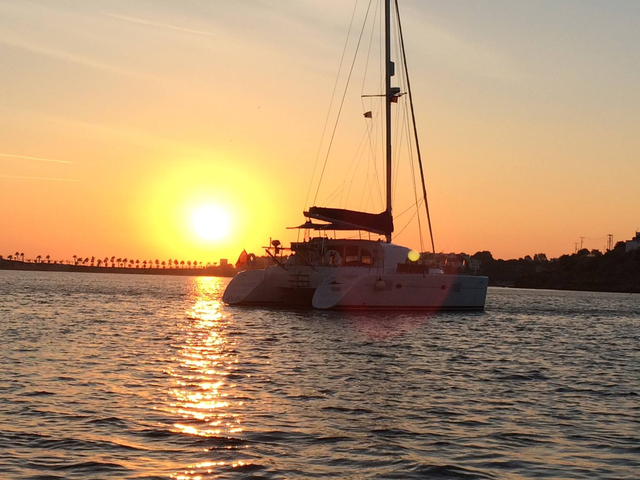 Immagine Lagoon 380 S2
