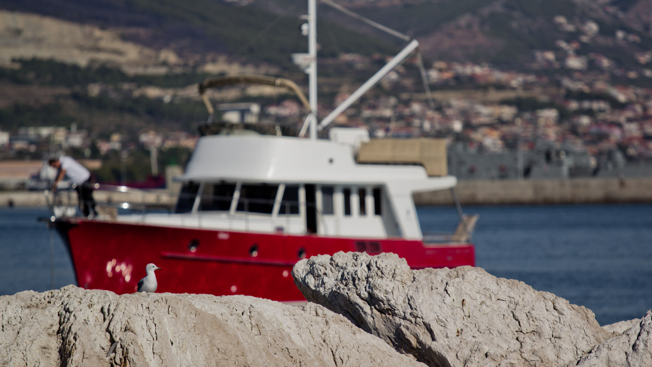 Immagine Beneteau Trawler 42 