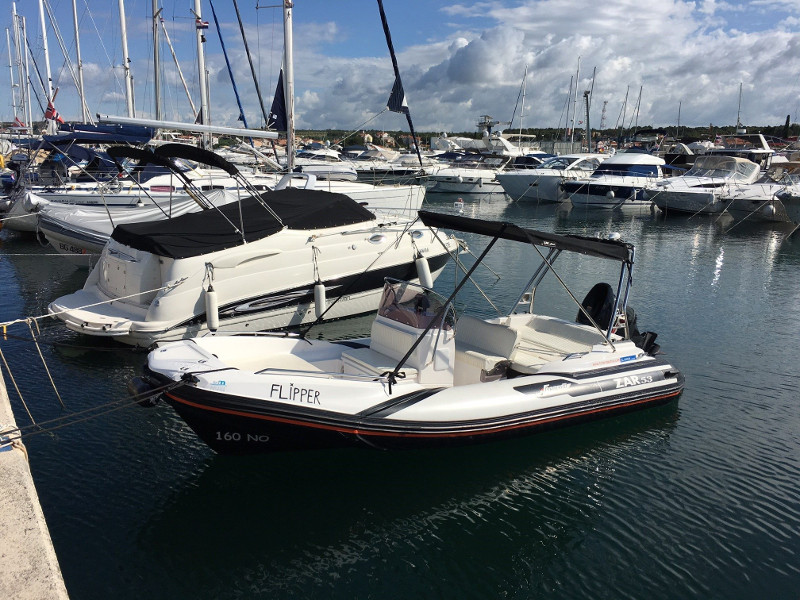 Immagine Zar 53 - Flipper 