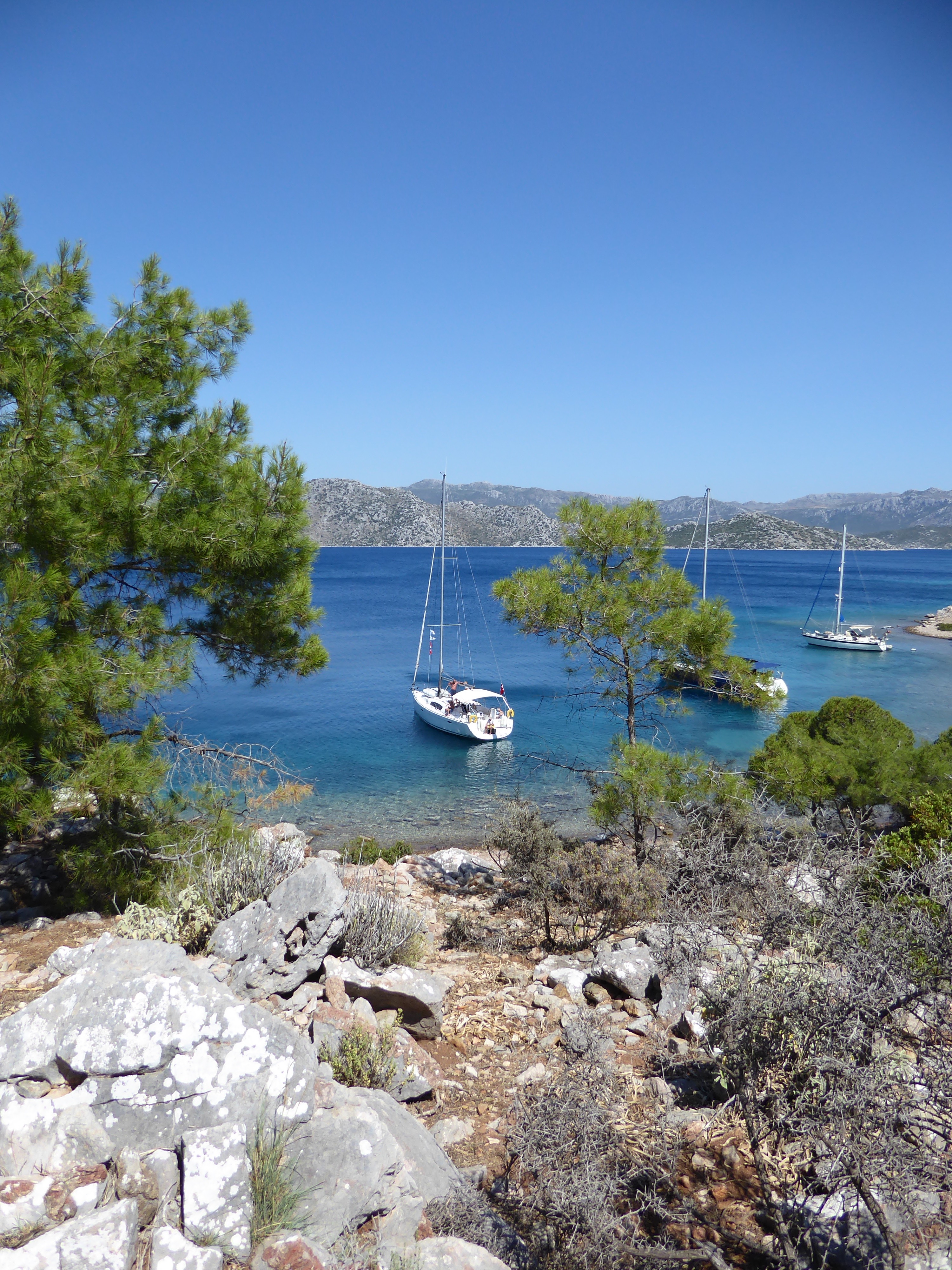 Immagine Oceanis 43