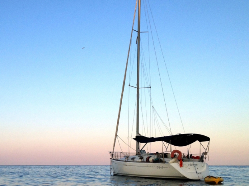 Immagine First 33.7
