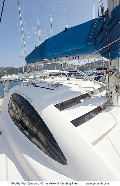 Immagine Leopard 40