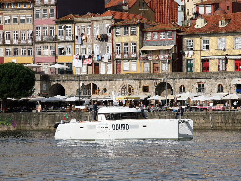 Immagine Lagoon 39 motor