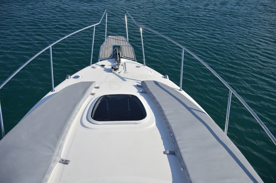 Immagine Sea Ray 275 Amberjack