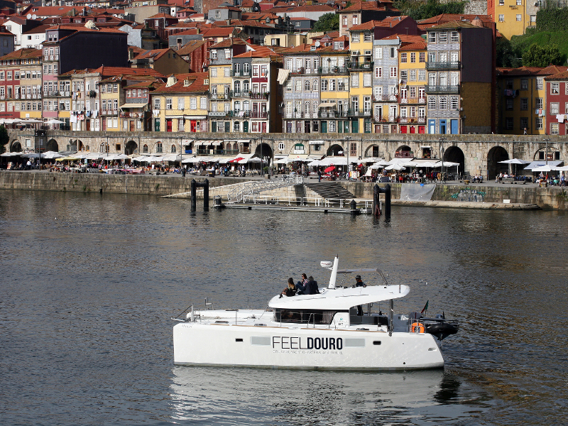 Immagine Lagoon 39 motor